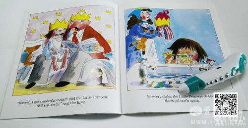 小公主The Little Princess s 20册点读版团购说明及点读包下载